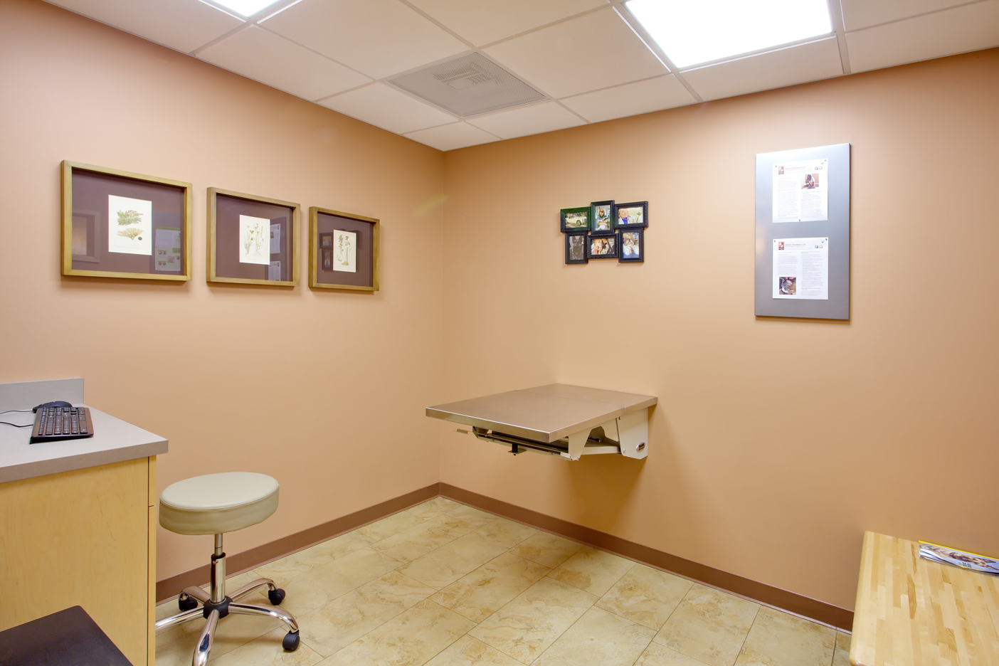 Montclair Vet Clinic exam room