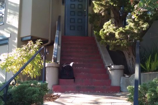 Berkeley Nature-Inspired Entry (E) stair