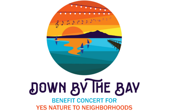 YES Down by the Bay 2023